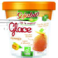 Gelato al mango