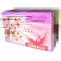Infuso Rosa Canina