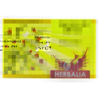 Infuso all'Ortica